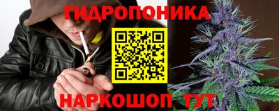 крисы Кандалакша