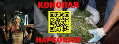 ПСИЛОЦИБИНОВЫЕ ГРИБЫ Камышлов