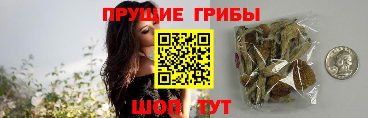Псилоцибиновые грибы мицелий  Галлюциногенные грибы Psilocybine cubensis  Лесозаводск  Вход с VPN 